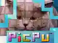 PicPu แมว เกมออนไลน์ PicPu แมว เกมออนไลน์