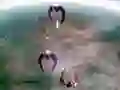 สเคปช็อตเตอร์ เกมออนไลน์ สเคปช็อตเตอร์ เกมออนไลน์