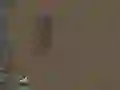 การอยู่รอด เกมออนไลน์ การอยู่รอด เกมออนไลน์