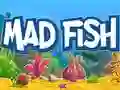 ปลาคลั่ง เกมออนไลน์