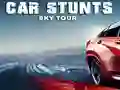 การแสดงรถยนต์ท่องอากาศ เกมออนไลน์