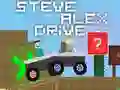 สตีฟ อเล็กซ์ ขับขี่ เกมออนไลน์