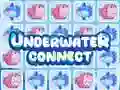 การเชื่อมต่อใต้น้ำ เกมออนไลน์ การเชื่อมต่อใต้น้ำ เกมออนไลน์