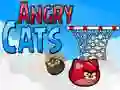 แมวโกรธ เกมออนไลน์