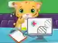สัตวแพทย์แมว เกมออนไลน์