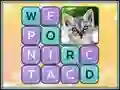 ค้นหาคำในภาพ เกมออนไลน์ ค้นหาคำในภาพ เกมออนไลน์
