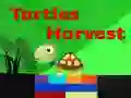 เก็บเกี่ยวเต่า เกมออนไลน์ เก็บเกี่ยวเต่า เกมออนไลน์