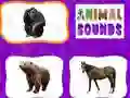เสียงสัตว์ เกมออนไลน์