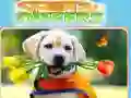 ค้นหาและแยกแยะ เกมออนไลน์ ค้นหาและแยกแยะ เกมออนไลน์
