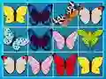 ราชาแห่งมาจอง เกมออนไลน์ ราชาแห่งมาจอง เกมออนไลน์