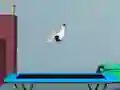 พลิกบน trampoline เกมออนไลน์ พลิกบน trampoline เกมออนไลน์