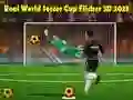 ฟุตบอลโลกจริง ๆ ฟลิกเกอร์ 3D 2023 เกมออนไลน์
