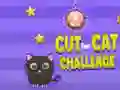 การท้าเฉือนสำหรับแมว เกมออนไลน์ การท้าเฉือนสำหรับแมว เกมออนไลน์