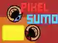 พิกเซลซูโม่ เกมออนไลน์ พิกเซลซูโม่ เกมออนไลน์