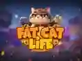 ชีวิตของแมวอ้วน เกมออนไลน์ ชีวิตของแมวอ้วน เกมออนไลน์