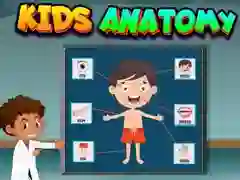 กายวิภาคเด็ก เกมออนไลน์