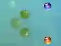 การผจญภัยของฉัน เกมออนไลน์