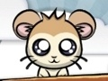 แฮมสเตอร์ฟองอากาศ เกมออนไลน์
