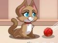 ฟองแมว เกมออนไลน์