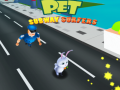 สัตว์เลี้ยง: Subway Surfers เกมออนไลน์