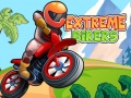 นักบิดสุดขีด เกมออนไลน์