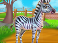 การดูแลม้าลาย เกมออนไลน์