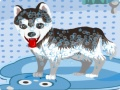สุนัขน้อยน่ารักของฉันอาบน้ำ เกมออนไลน์