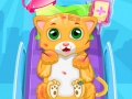 หมอแมวตัวน้อย เกมออนไลน์