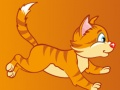 การวิ่งชีส เกมออนไลน์