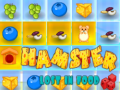 แฮมสเตอร์หลงในอาหาร เกมออนไลน์
