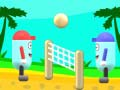 วอลเลย์บอลชายหาด เกมออนไลน์