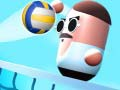 วอลเลย์บอลยา เกมออนไลน์
