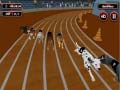 ไข้แข่งสุนัขคลั่ง เกมออนไลน์