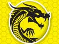 ความโกรธของกังฟู เกมออนไลน์