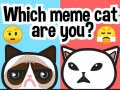 คุณเป็นแมวมีมตัวไหน? เกมออนไลน์