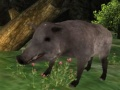 การล่าแมวดำ เกมออนไลน์