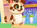 สุนัขเสมือนน่ารัก เกมออนไลน์