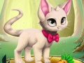 ผู้สร้างสัตว์เลี้ยงมหัศจรรย์ เกมออนไลน์