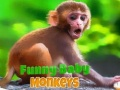 ลิงทารกน่าขำ เกมออนไลน์