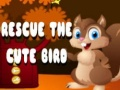 ช่วยนกน่ารัก เกมออนไลน์