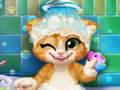 อาบน้ำแมวสนิม เกมออนไลน์