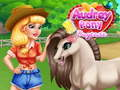 Audrey Pony แห่งการดูแลเด็ก เกมออนไลน์