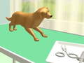 ดูแลเท้า เกมออนไลน์