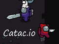 Catac.io เกมออนไลน์