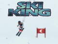 ราชาแห่งการสกี เกมออนไลน์