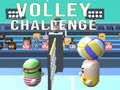 ความท้าทายวอลเลย์บอล เกมออนไลน์