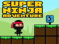 ซูเปอร์ผจญภัยนินจา เกมออนไลน์
