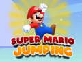 ซูเปอร์มาริโอ้กระโดด เกมออนไลน์