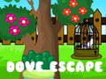 การหลบหนีของนกพิราบ เกมออนไลน์