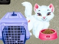 การดูแลสัตว์เลี้ยงของเบบี้เทย์เลอร์ เกมออนไลน์